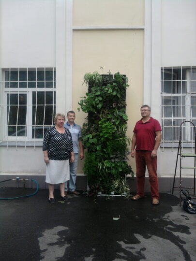 Вертикальное озеленение на улице в Москве