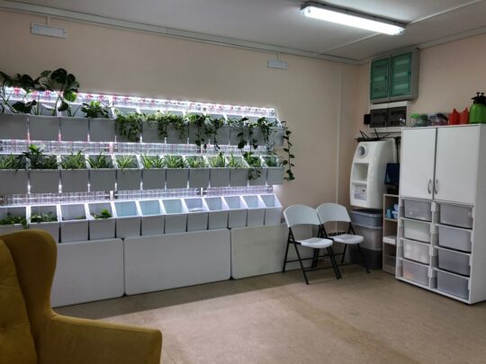 Первый этап создания зеленой мастерской в 3 реабилитационных центрах ГБУ Царицыно